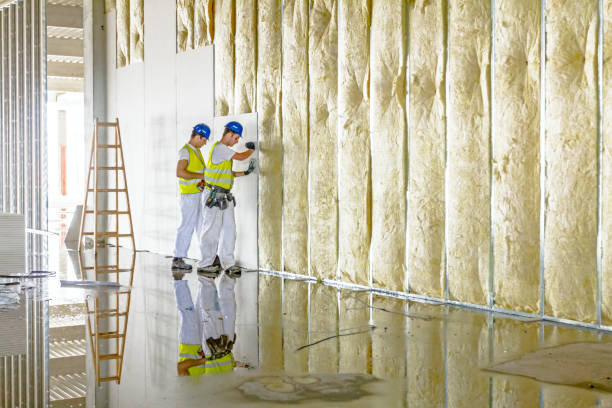 Best Residential Insulation in Harbor Isle, NY